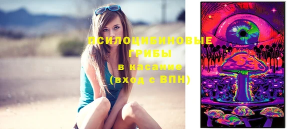 apvp Абаза