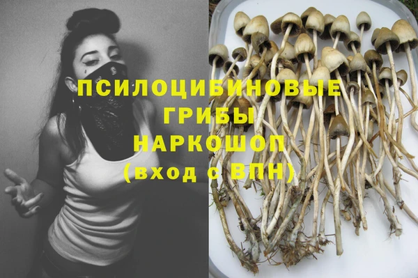 эйфоретик Абинск