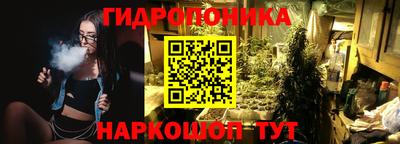прущие грибы Балашиха