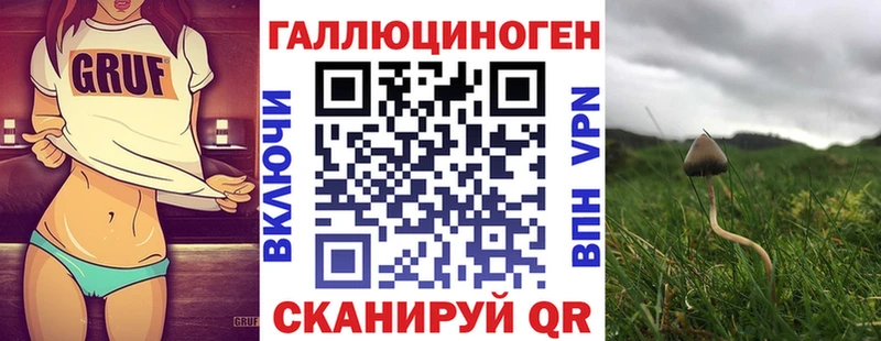 Псилоцибиновые грибы Cubensis  Владикавказ 