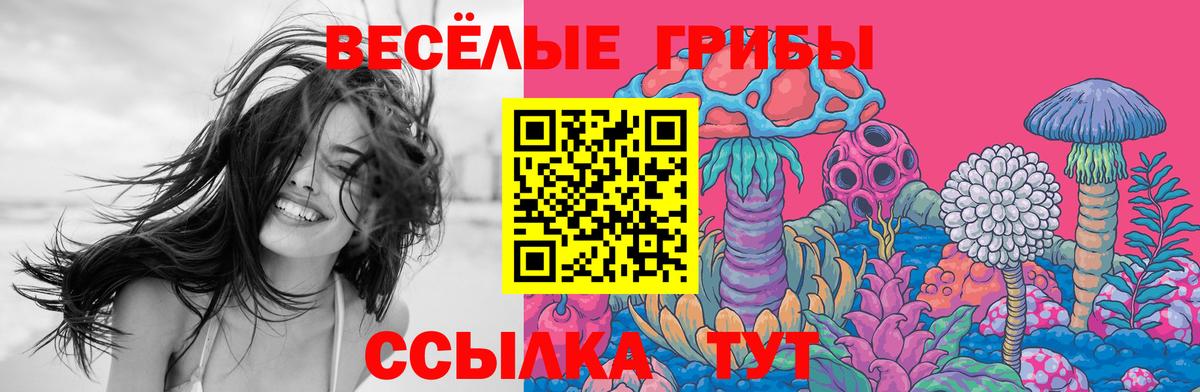 Владикавказ  Галлюциногенные грибы Magic Shrooms  Вход с VPN 