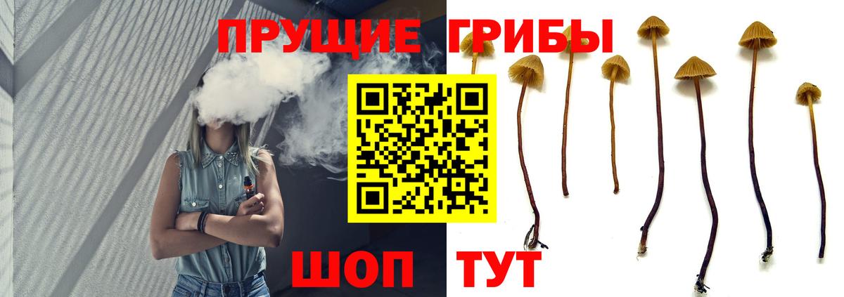 МЕФ Владикавказ